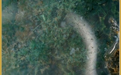 Agata Muschiata / Moss Agate