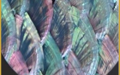 Elementi decorativi in Abalone