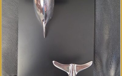 Appendiabiti Delfini